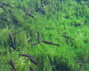 zoo_0041_s.jpg